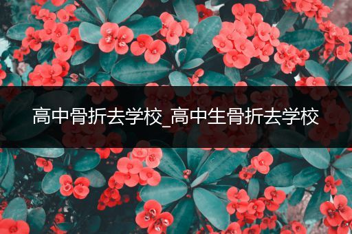 高中骨折去学校_高中生骨折去学校