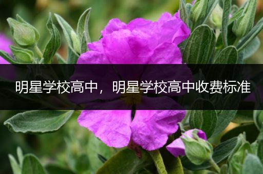 明星学校高中，明星学校高中收费标准
