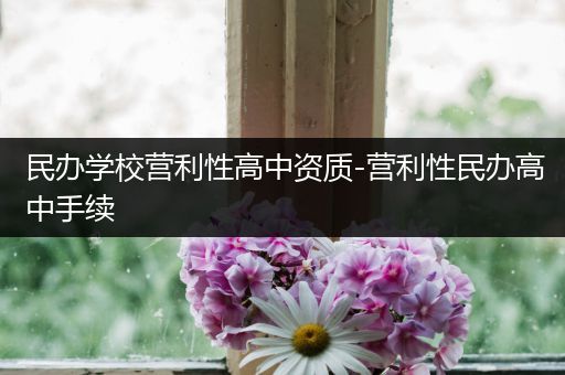 民办学校营利性高中资质-营利性民办高中手续