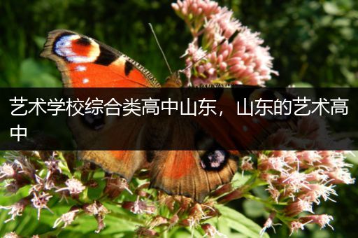 艺术学校综合类高中山东，山东的艺术高中