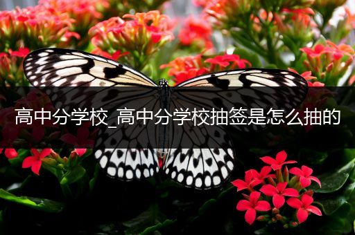 高中分学校_高中分学校抽签是怎么抽的