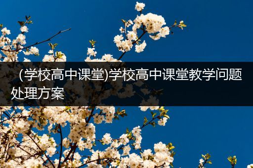 （学校高中课堂)学校高中课堂教学问题处理方案
