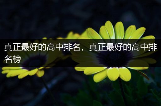 真正最好的高中排名，真正最好的高中排名榜