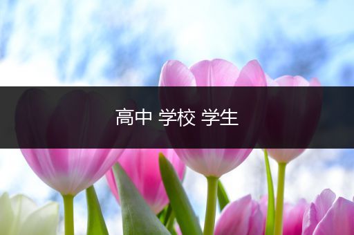 高中 学校 学生