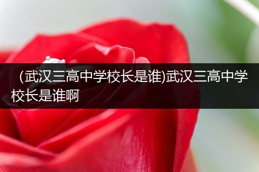 （武汉三高中学校长是谁)武汉三高中学校长是谁啊