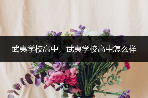 武夷学校高中，武夷学校高中怎么样