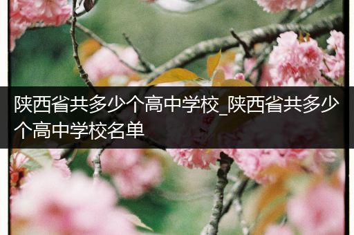 陕西省共多少个高中学校_陕西省共多少个高中学校名单