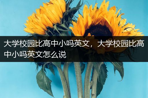 大学校园比高中小吗英文，大学校园比高中小吗英文怎么说