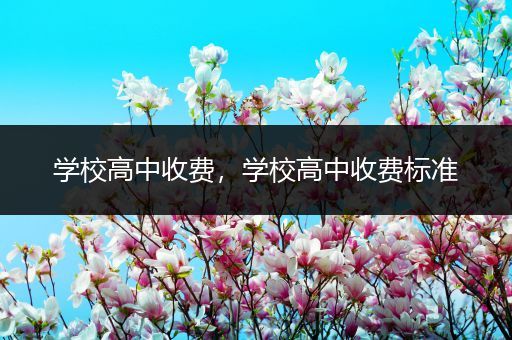 学校高中收费，学校高中收费标准