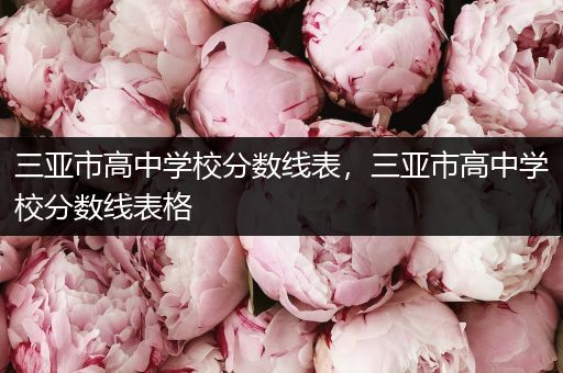 三亚市高中学校分数线表，三亚市高中学校分数线表格