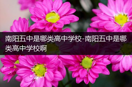 南阳五中是哪类高中学校-南阳五中是哪类高中学校啊