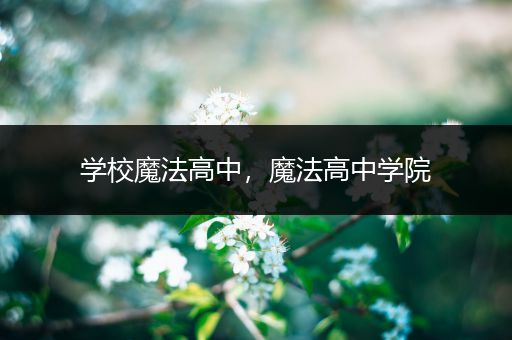 学校魔法高中，魔法高中学院
