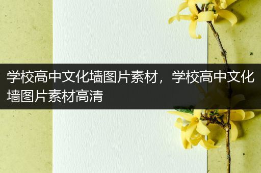 学校高中文化墙图片素材，学校高中文化墙图片素材高清