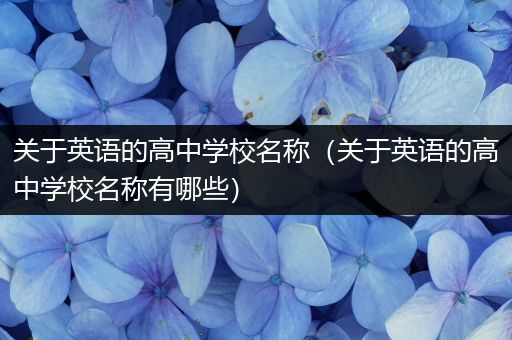关于英语的高中学校名称（关于英语的高中学校名称有哪些）