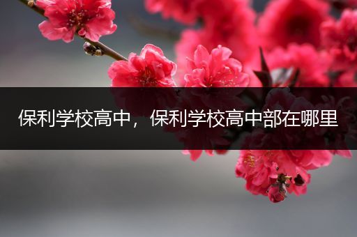 保利学校高中，保利学校高中部在哪里
