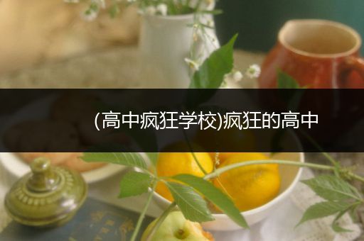 （高中疯狂学校)疯狂的高中