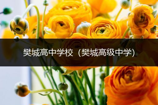樊城高中学校（樊城高级中学）