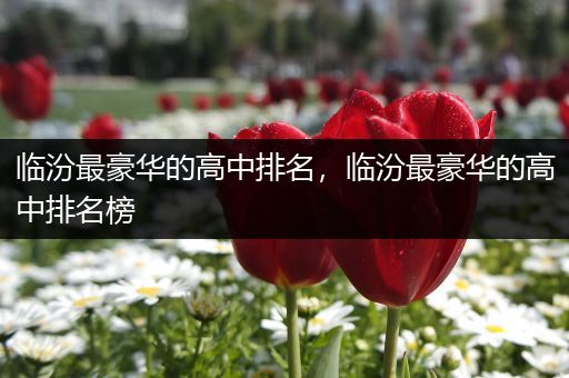 临汾最豪华的高中排名，临汾最豪华的高中排名榜