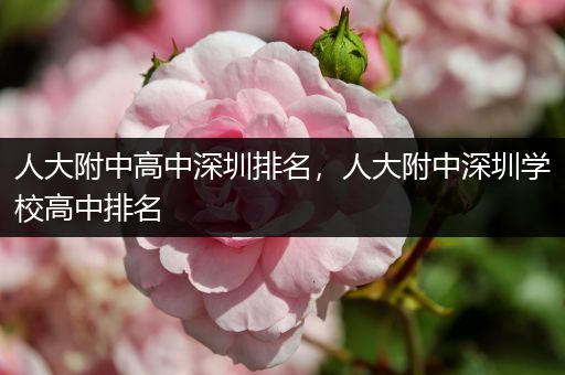 人大附中高中深圳排名，人大附中深圳学校高中排名