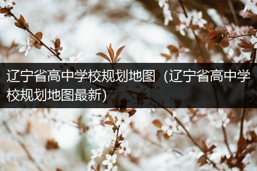 辽宁省高中学校规划地图（辽宁省高中学校规划地图最新）