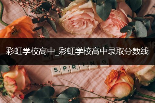 彩虹学校高中_彩虹学校高中录取分数线