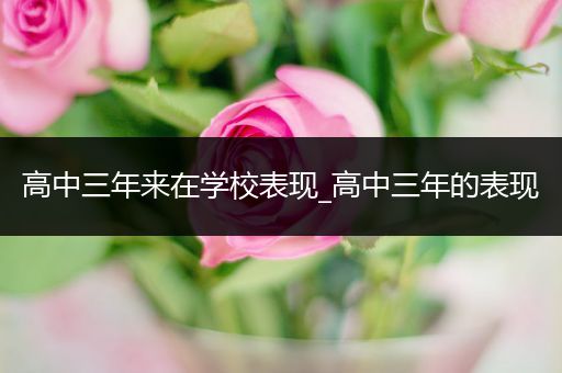 高中三年来在学校表现_高中三年的表现