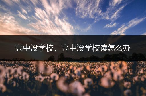 高中没学校，高中没学校读怎么办