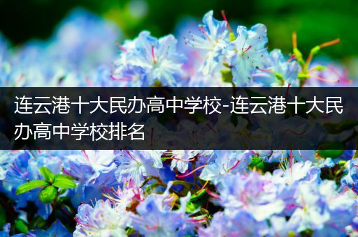连云港十大民办高中学校-连云港十大民办高中学校排名