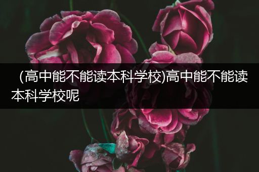 （高中能不能读本科学校)高中能不能读本科学校呢