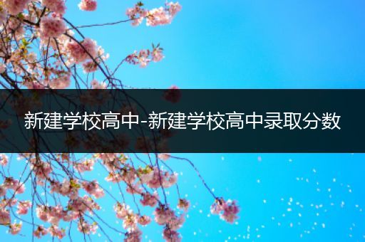 新建学校高中-新建学校高中录取分数