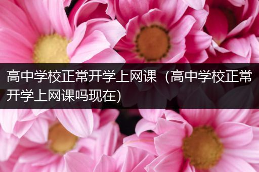 高中学校正常开学上网课（高中学校正常开学上网课吗现在）