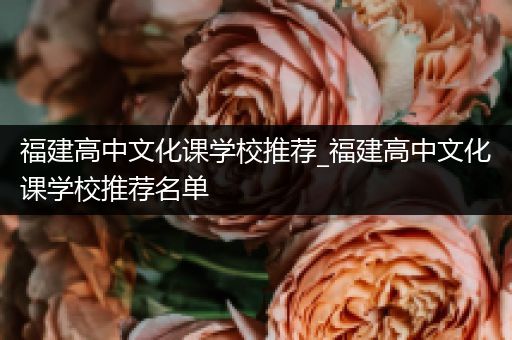 福建高中文化课学校推荐_福建高中文化课学校推荐名单