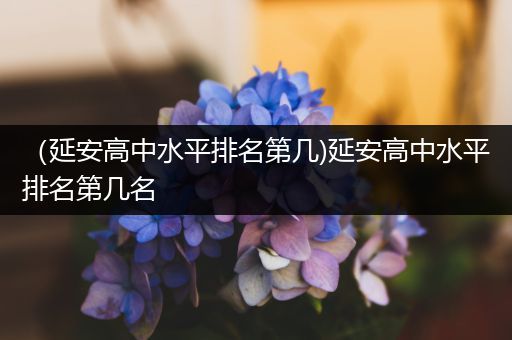 （延安高中水平排名第几)延安高中水平排名第几名