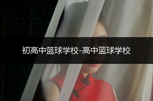 初高中篮球学校-高中蓝球学校