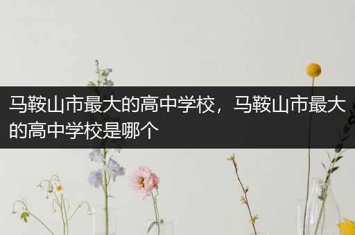 马鞍山市最大的高中学校，马鞍山市最大的高中学校是哪个