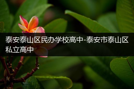 泰安泰山区民办学校高中-泰安市泰山区私立高中