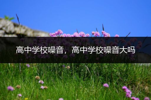高中学校噪音，高中学校噪音大吗