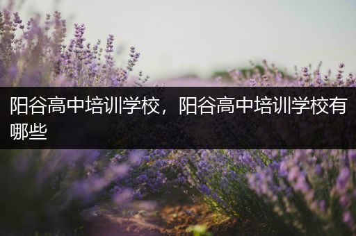 阳谷高中培训学校，阳谷高中培训学校有哪些