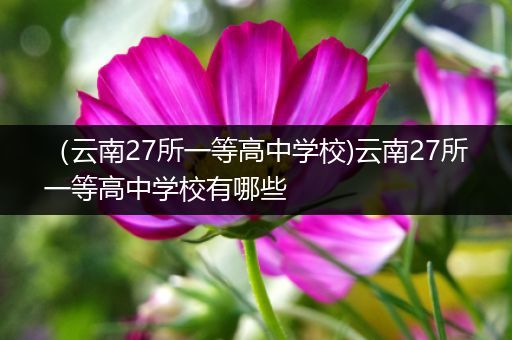 （云南27所一等高中学校)云南27所一等高中学校有哪些