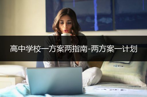 高中学校一方案两指南-两方案一计划
