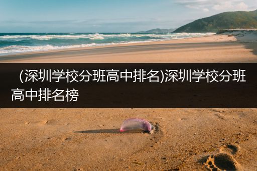 （深圳学校分班高中排名)深圳学校分班高中排名榜