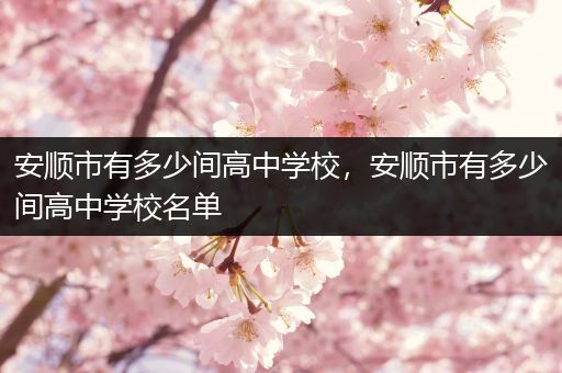 安顺市有多少间高中学校，安顺市有多少间高中学校名单