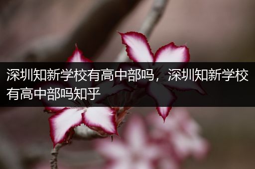 深圳知新学校有高中部吗，深圳知新学校有高中部吗知乎