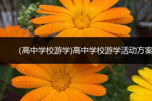 （高中学校游学)高中学校游学活动方案