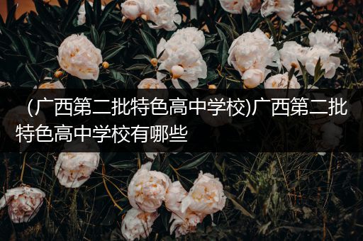 （广西第二批特色高中学校)广西第二批特色高中学校有哪些