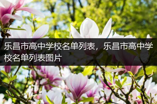 乐昌市高中学校名单列表，乐昌市高中学校名单列表图片