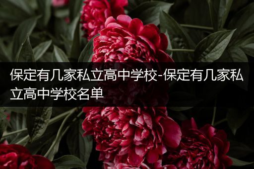 保定有几家私立高中学校-保定有几家私立高中学校名单