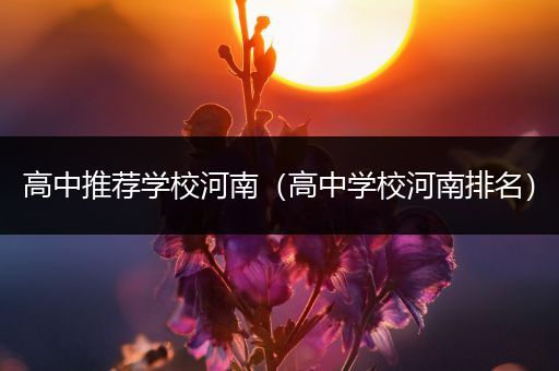 高中推荐学校河南（高中学校河南排名）