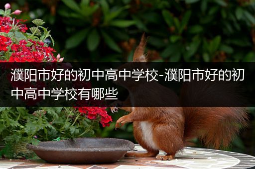 濮阳市好的初中高中学校-濮阳市好的初中高中学校有哪些