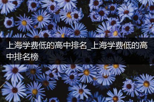 上海学费低的高中排名_上海学费低的高中排名榜